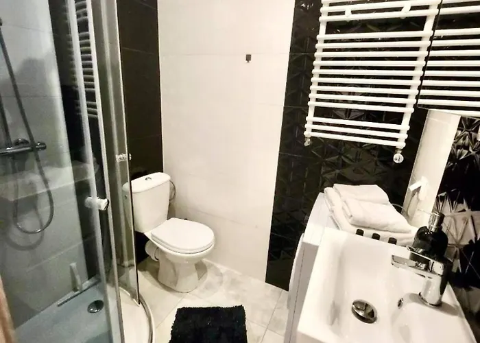 Polmerino Prime Studio