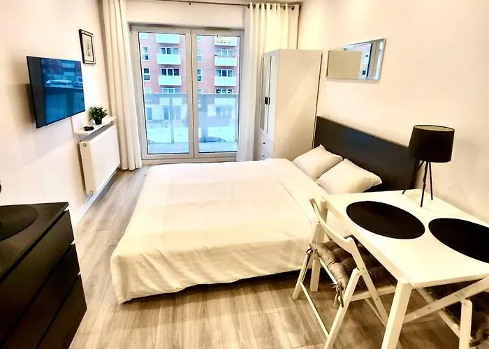 Polmerino Prime Studio *